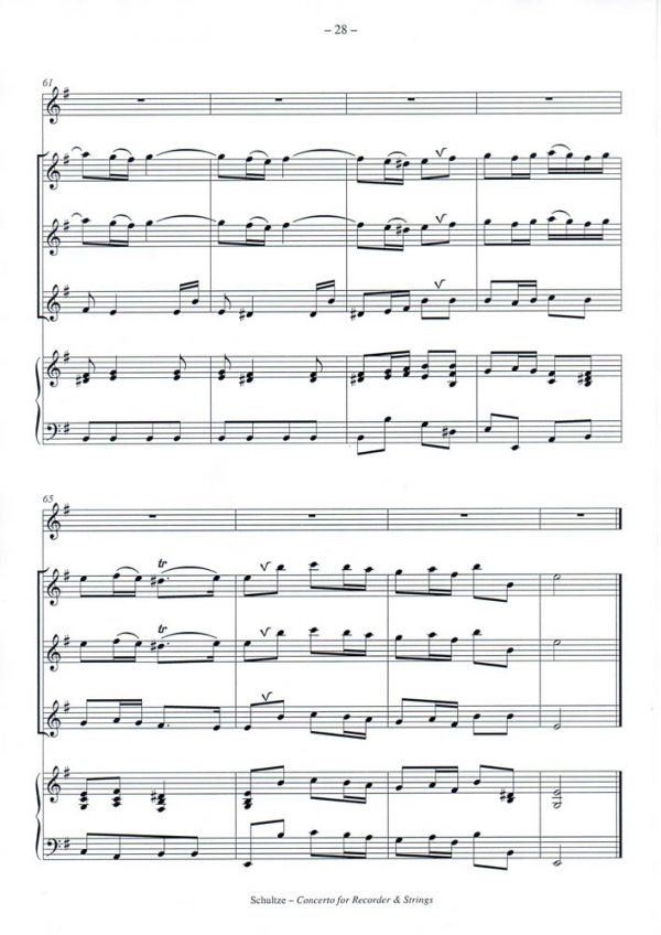Concerto in G - Image 19