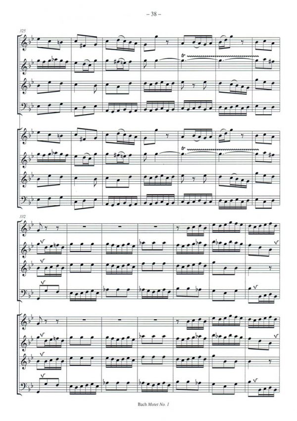 Motet No. 1 - Image 22